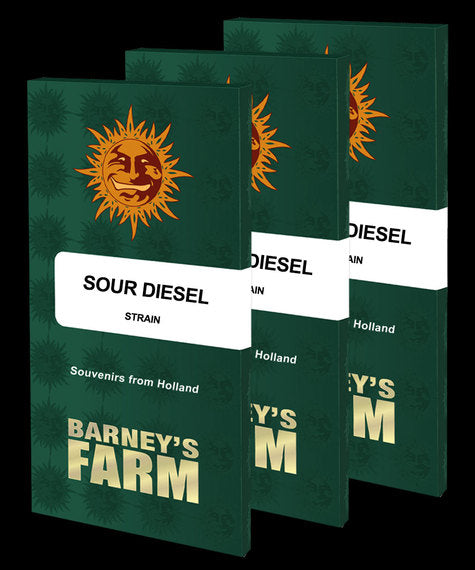 Barney's Farm - Sour Disel - Semi Di Cannabis Autofiorenti