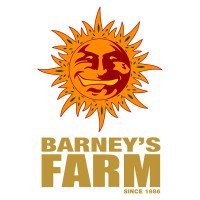 Barney's Farm - Purple Punch x Lemon drizzle - Semi Di Cannabis Femminizzati