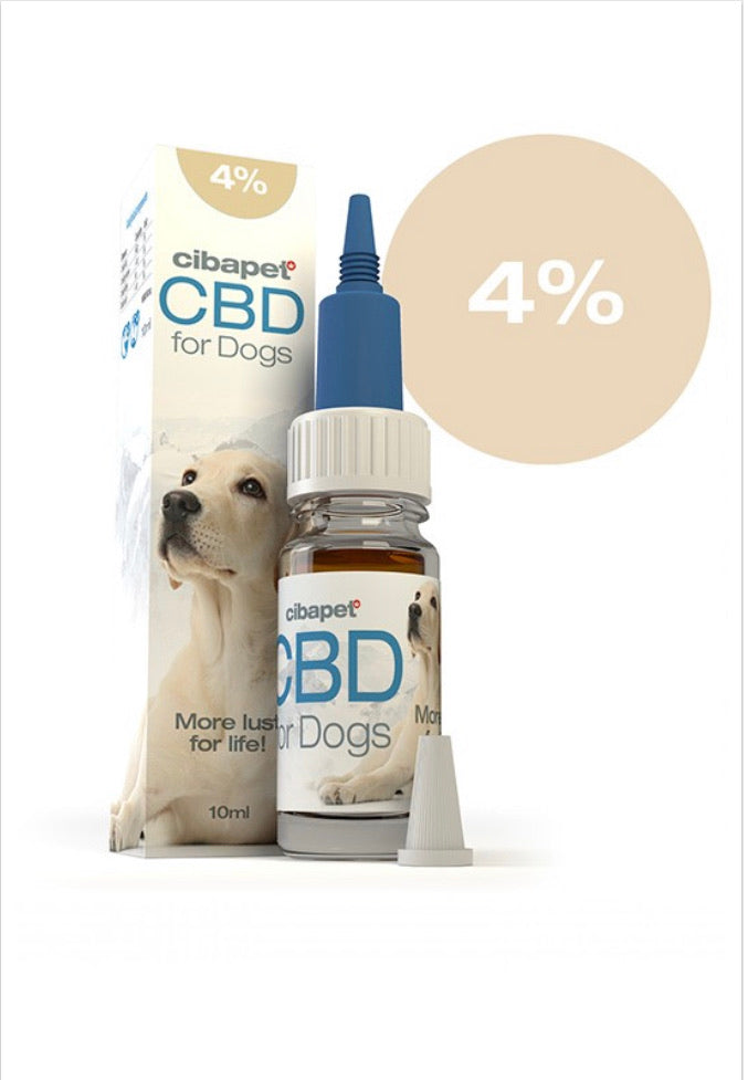 Olio CBD 4% per cani