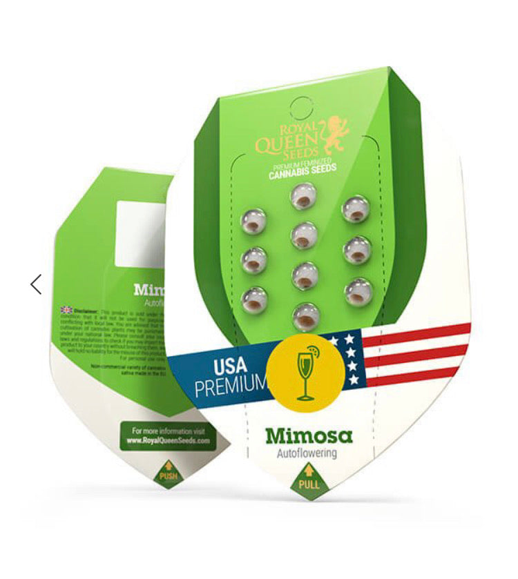 MIMOSA AUTO ROYAL QUEEN SEEDS